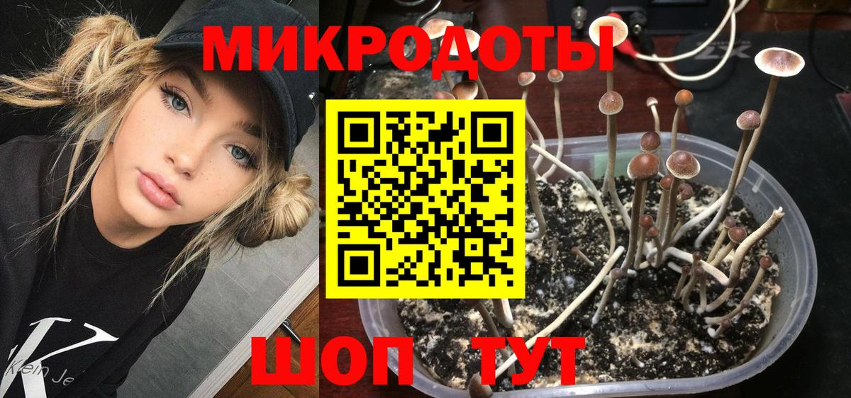 Благодарный  Галлюциногенные грибы MAGIC MUSHROOMS  Вход с VPN 
