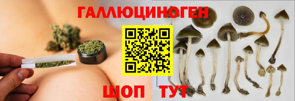Псилоцибиновые грибы Psilocybine cubensis Благодарный