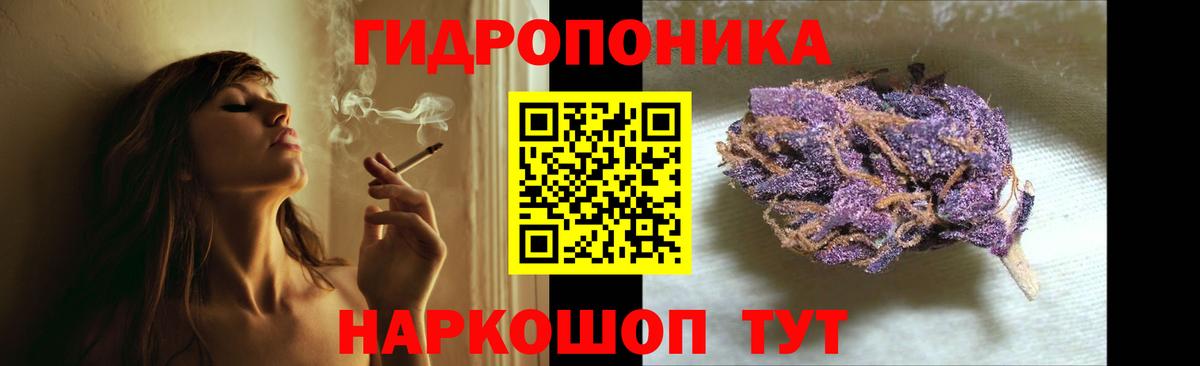 Шишки марихуана тримм  Вход с VPN  Каннабис сатива  Благодарный  Бошки Шишки план 